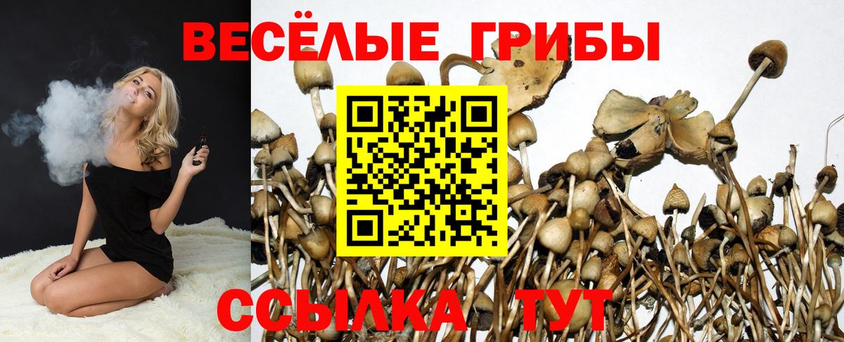 Галлюциногенные грибы прущие грибы Изобильный