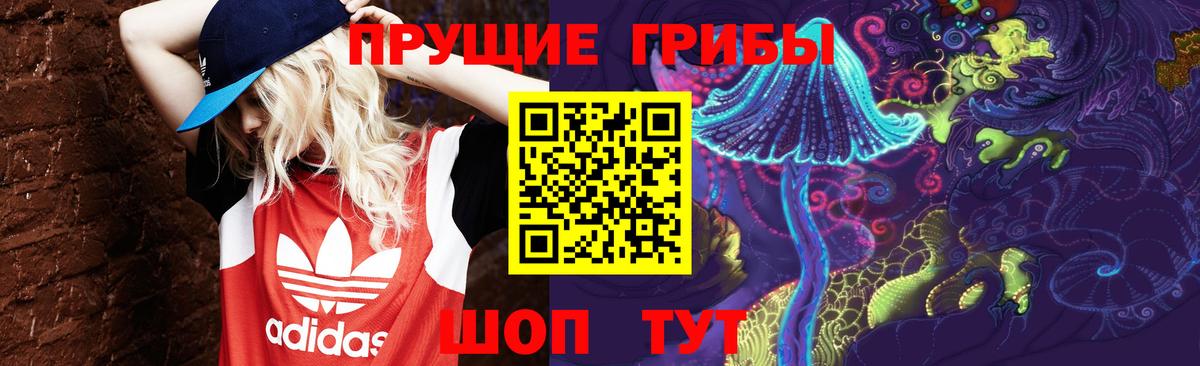 Изобильный  Галлюциногенные грибы прущие грибы  Галлюциногенные грибы GOLDEN TEACHER  Вход с VPN 